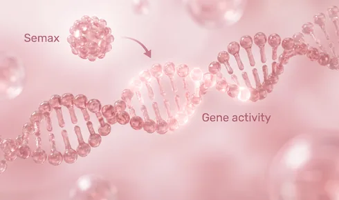 Stylized illustration of a beaded strand of DNA running across the frame with one stretch of it lit and the rest dim, tagged Gene activity, with a beaded round molecule labelled Semax arriving along a curved arrow.