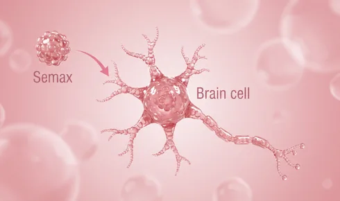 Stylized illustration of a branching brain cell drawn whole in the middle of the frame, tagged Brain cell, with a beaded round molecule labelled Semax arriving along a curved arrow to one of its branches.