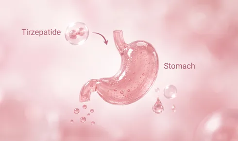 Stylized illustration of a rounded stomach with small rounded particles drifting out below it and two droplets beside it, tagged Stomach, with a rounded molecule labelled Tirzepatide arriving along a curved arrow.