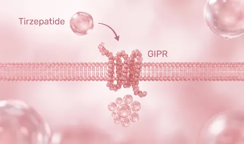 Stylized illustration of the GIP receptor threaded through a cell membrane, tagged GIPR, with a rounded molecule labelled Tirzepatide approaching it along a curved arrow and a small cluster of round droplets inside the cell below.