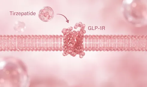 Stylized illustration of the GLP-1 receptor threaded through a cell membrane, with a rounded molecule labelled Tirzepatide approaching it along a curved arrow, and the receptor itself tagged GLP-1R.
